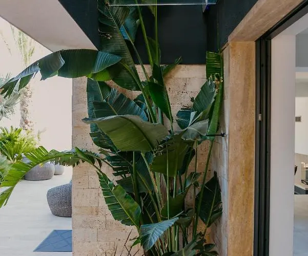 Vila Bloomhill Escape Trogir